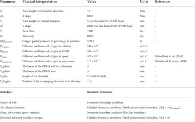 Electrochemically induced in vitro focal hypoxia in human neurons